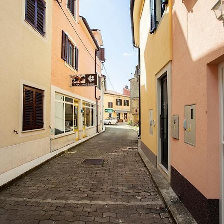 Studio Apartman Amalie Pazin Exterior photo